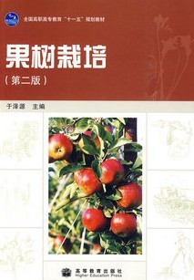 [ȫ9]